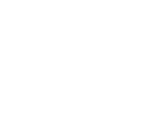 Panda Cleaner Logo